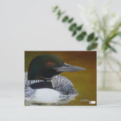 Carte postale Nature (Debout devant)