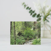 Carte postale Nature (Debout devant)