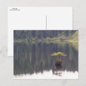 Carte postale Nature (Devant / Derrière)