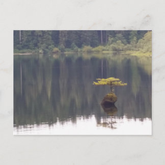 Carte postale Nature