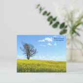 Carte postale Nature (Debout devant)