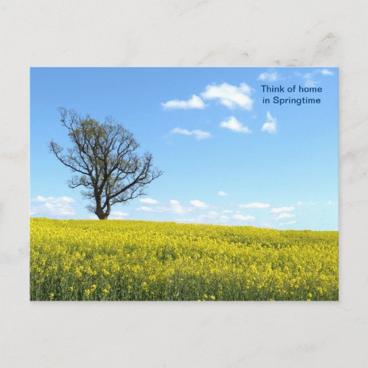 Carte postale Nature (Devant)