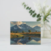 CARTE POSTALE NATURE (Debout devant)