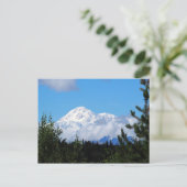 Carte Postale Nature Alaska Denali Paysage photo (Debout devant)