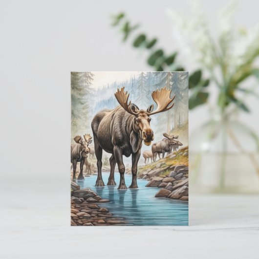 Carte Postale *~* Nature AP49 MOOSE HERD Forest STREAM (Debout devant)