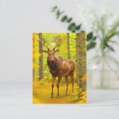 Carte Postale *~* Nature AP49 MOOSE Woods Forêt Chute Jaune (Debout devant)