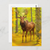 Carte Postale *~* Nature AP49 MOOSE Woods Forêt Chute Jaune (Devant / Derrière)