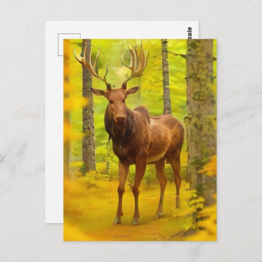 Carte Postale *~* Nature AP49 MOOSE Woods Forêt Chute Jaune (Devant / Derrière)