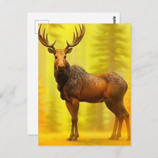 Carte Postale *~* Nature AP49 MOOSE Woods Forêt Chute Soleil Jau (Devant / Derrière)