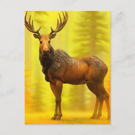 Carte Postale *~* Nature AP49 MOOSE Woods Forêt Chute Soleil Jau (Devant)