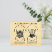 Carte Postale Nature contre Corsets (Debout devant)