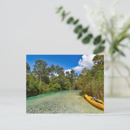 Carte postale nature de Floride (Debout devant)