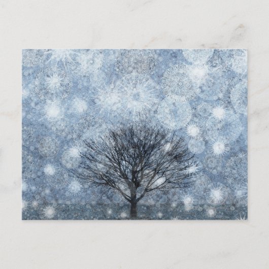 Carte Postale Nature de la survie (Devant)