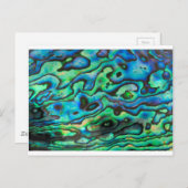 Carte Postale Nature design paua ormeau (Devant / Derrière)