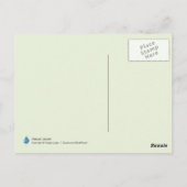 Carte Postale Nature Dew sur Spider Web (Dos)