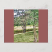 Carte Postale Nature En Beauté 2 (Devant)