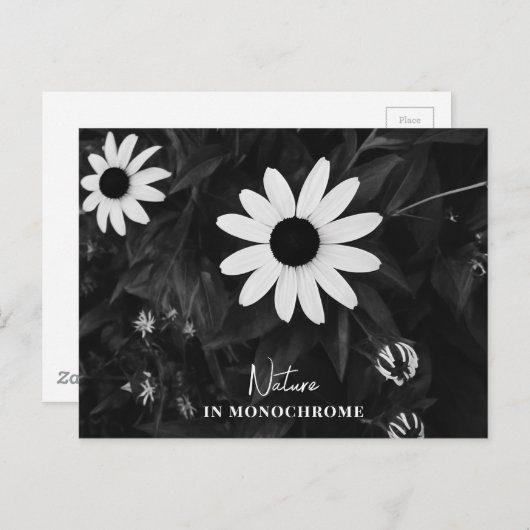 Carte Postale Nature en monochrome (Devant / Derrière)