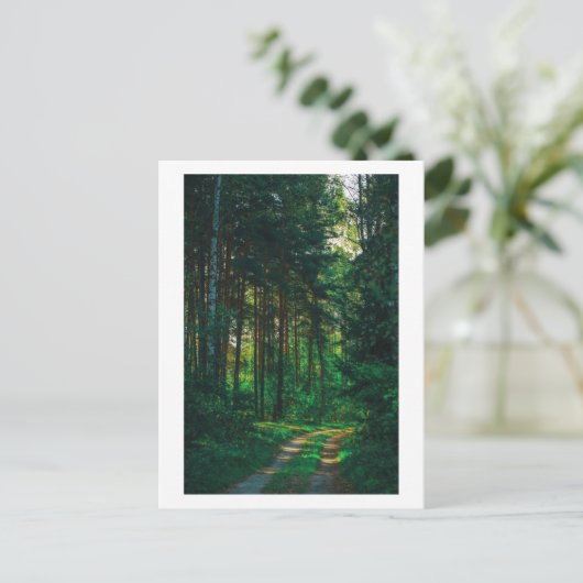 Carte Postale Nature Forêt Birers Route du paysage (Debout devant)