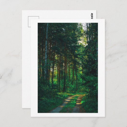 Carte Postale Nature Forêt Birers Route du paysage (Devant / Derrière)