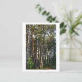 Carte Postale Nature Forêt Oiseaux Paysage vert (Debout devant)