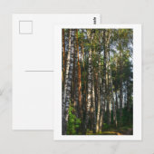 Carte Postale Nature Forêt Oiseaux Paysage vert (Devant / Derrière)