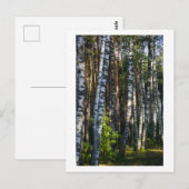 Carte Postale Nature Forêt Oiseaux Paysage vert (Devant / Derrière)