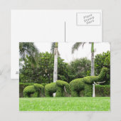 Carte postale Nature Green Elephants Jardin Sculpt (Devant / Derrière)