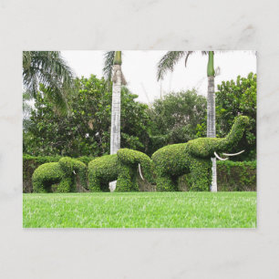 Carte postale Nature Green Elephants Jardin Sculpt
