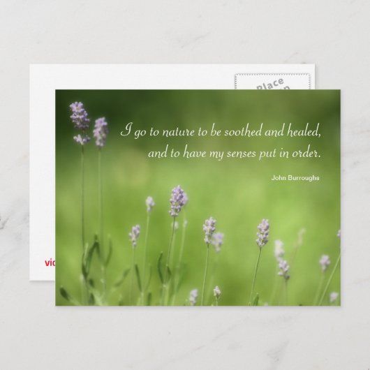 Carte Postale Nature guérit Lavender Photographie & Citation (Devant / Derrière)