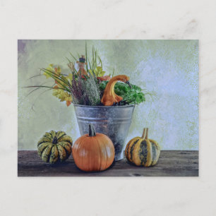 Carte Postale Nature morte d'automne avec citrouilles, fleurs