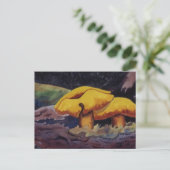 Carte postale Nature Oddities (Debout devant)
