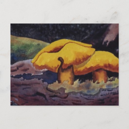 Carte postale Nature Oddities (Devant)