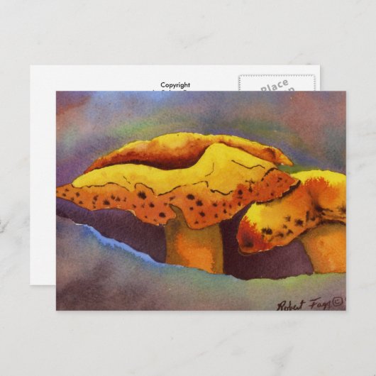 Carte postale Nature Oddities (Devant / Derrière)