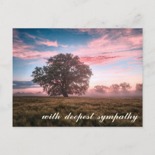 Carte Postale Nature paisible Arbre Sunset Sunrise Sympathie