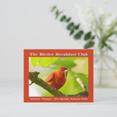 Carte Postale Nature Photographie été Tanager Birder (Debout devant)