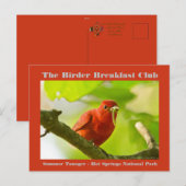 Carte Postale Nature Photographie été Tanager Birder (Devant / Derrière)