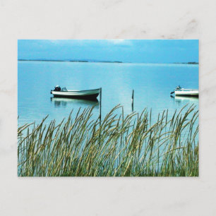 Carte Postale Nature pure sur l'île de Samso Photo Colette