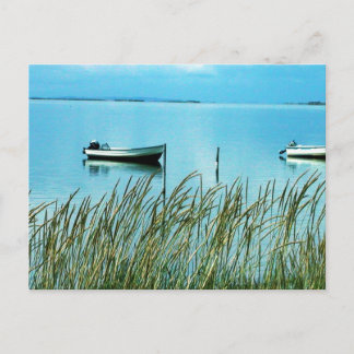 Carte Postale Nature pure sur l'île de Samso Photo Colette