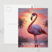 Carte Postale Nature Sunset Flamant rose rose Vintage (Devant / Derrière)