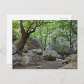 Carte postale Nature Walk (Devant / Derrière)