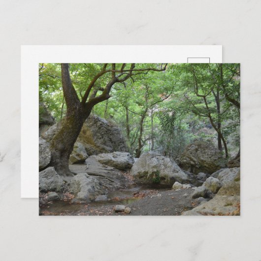 Carte postale Nature Walk (Devant / Derrière)