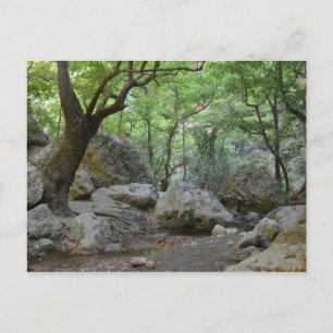 Carte postale Nature Walk