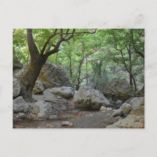 Carte postale Nature Walk (Devant)