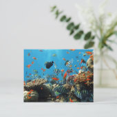 Carte Postale Naturel des poissons de récif corallien (Debout devant)