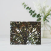 Carte Postale Natures beauté (Debout devant)