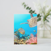 Carte Postale Naturescape Coral Reef Turtle (Debout devant)