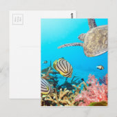 Carte Postale Naturescape Coral Reef Turtle (Devant / Derrière)