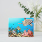 Carte Postale Naturescape Coral Reef Turtle (Debout devant)