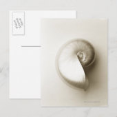 Carte Postale Nausolée perlée 2 (Devant / Derrière)