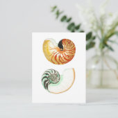 CARTE POSTALE "NAUTILUS" (Debout devant)